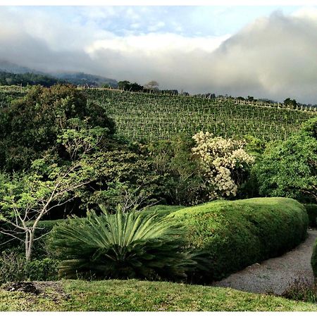 Coffee Garden Ranch Costa Rica Apartment Concepcion  Exterior photo